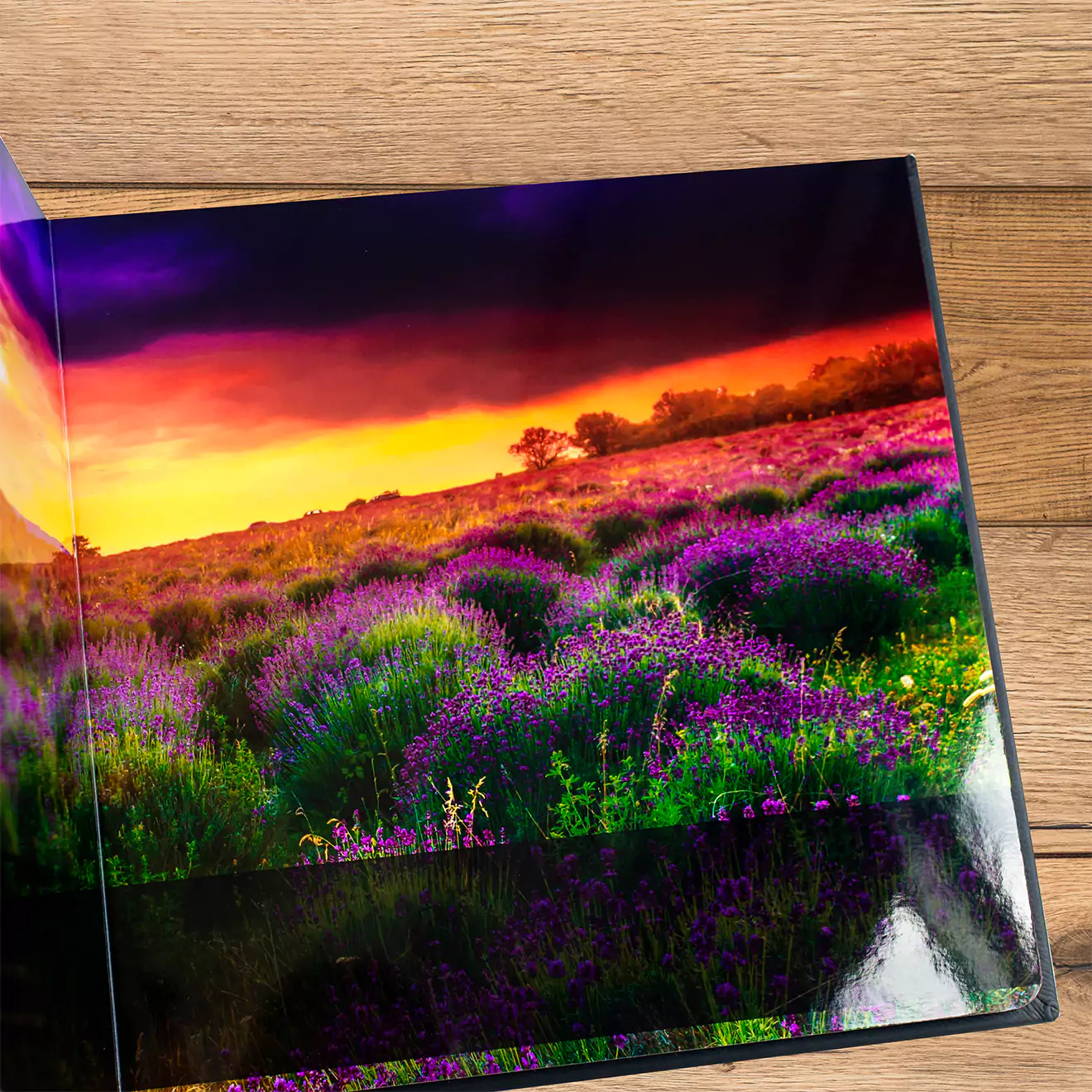 Open photobook displaying a vibrant, high-resolution image of a sunset over a field of purple flowers, showcasing the quality and color accuracy of the ultimate albums offered.