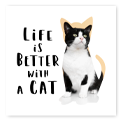 Square photo collage featuring a black and white cat with the text "Life is Better with a Cat" in bold, playful font. Ideal for personalised gifts, photo albums, or wall art. Perfect for cat lovers and as a unique gift idea for various occasions such as Christmas or birthdays.