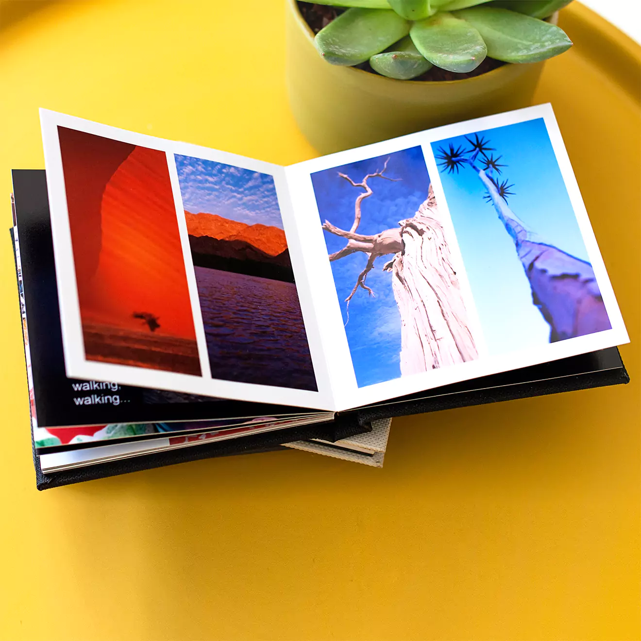 Open photo book displaying vibrant landscape images, placed on a yellow surface next to a green succulent plant. Ideal for personalised gifts in South Africa, photo albums, and photo books. Suitable for various occasions like Christmas, baby showers, and Valentine's Day.